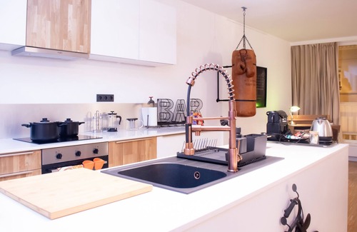 Saint-Josse-ten-Noode Apartment | R213 - Industrial Style Sanctum