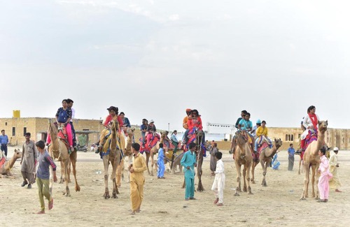 Sam Resort | Raahi Desert Resort