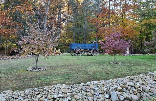 Cosby Cabin | Rabbits Nest: " Love for One Another and Nature"