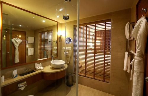 Egmore Hotel | Radisson Blu Hotel Chennai City Centre