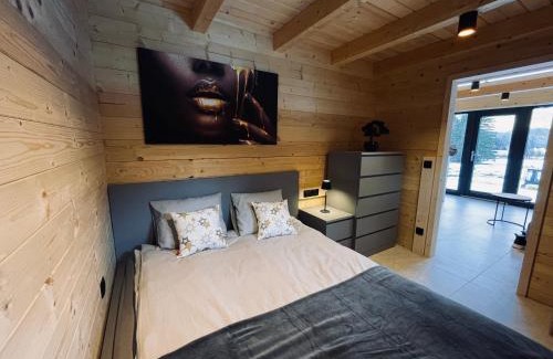 Mojstrana Apartment | Radovna Chalet with Panoramic View