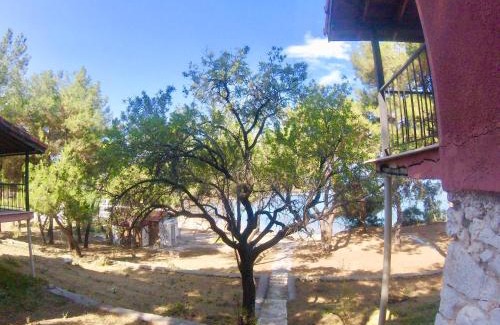 Ozdere Hotel | Rainbow Bay Ozdere Beach Hotel