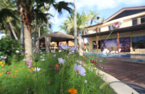 Nadi Bed & Breakfast | Rainbow holiday resort