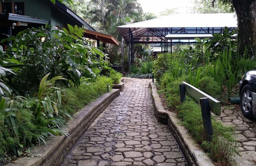 Nasinu Hotel | Rainforest Eco Lodge
