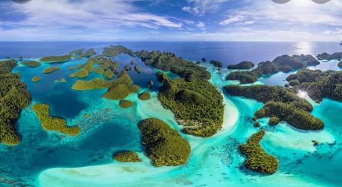 Raja Ampat Other | Raja Ampat Snorkeling