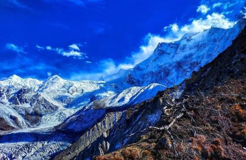 Hunza Other | Rakaposhi Campin Site