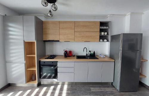 Blejoi Apartment | Raluca cozy apartment's