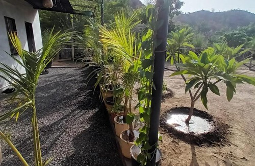 Desuri House | Ranakpur Farm House