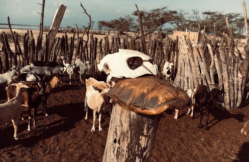 La Guajira Cottage | Rancherías Indigenas Wayuu - Reserva Nacional Natural