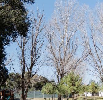 Santa Veronica Hotel | Rancho Santa Verónica