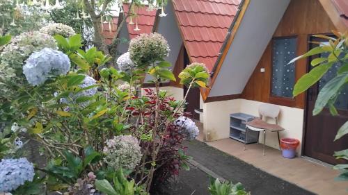 Kajarharjo House | Rante Ijen Cafe & Homestay