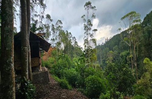 Pangalengan Cabin | Rasamala Camp