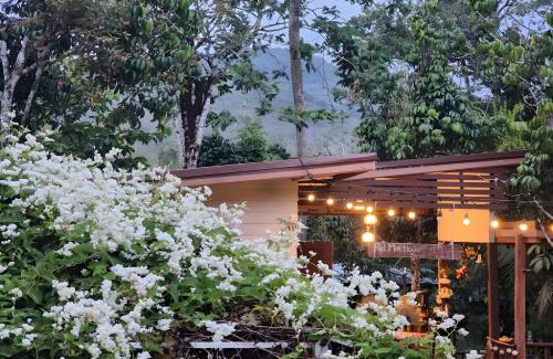 Hat Yai House | Rat Min House
