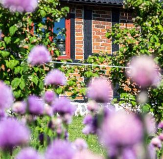 Kivik House | Ravlunda Byaväg 12
