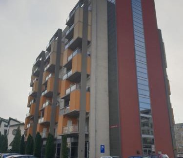 Emanoil Gojdu Apartment | Re-View