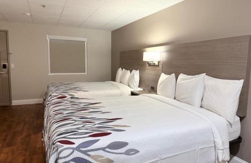 Swansea Hotel | Red Roof Inn & Suites Swansea