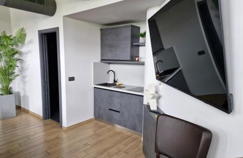 Novo Mesto Apartment | Red room studio app z biljardom