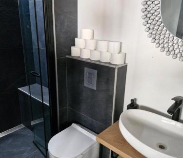 Novo Mesto Apartment | Red room studio app z biljardom