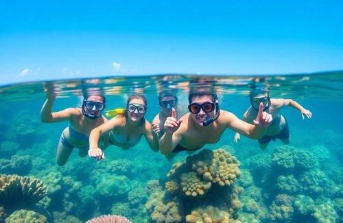 Sharm El Sheikh Boat Rental | red sea excursion