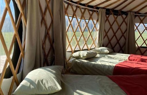 Haslemere House | Redwood - the BIG yurt