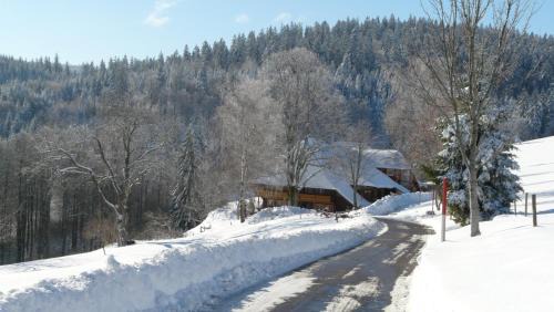 Hofsgrund Apartment | Reesbauernhof