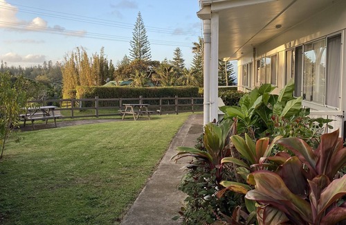 Norfolk Island Apartment | Regal hibiscus apartments Norfolk Island