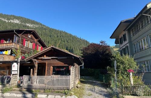 Zweisimmen Apartment | Region de Gstaad - Ultra Modern Apartment- Huge Roof Terrace - Great Views