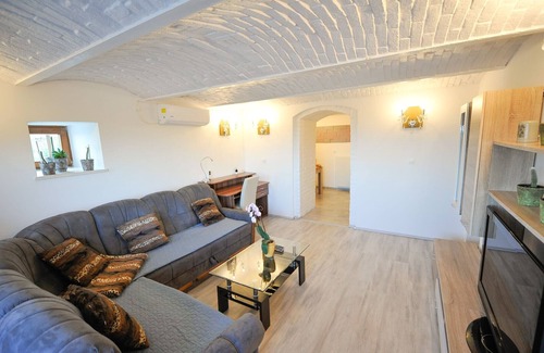 Brezice Apartment | Relax and Rustic Apartments with Terrace - Classic One Bedroom Apartment with Terrace