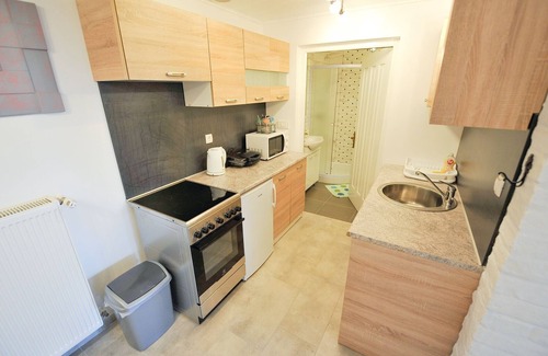 Brezice Apartment | Relax and Rustic Apartments with Terrace - Classic One Bedroom Apartment with Terrace
