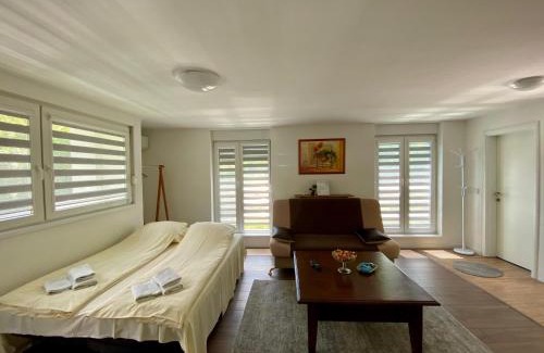 Sarajevo Canton Apartment | Relax Apartment Private pool