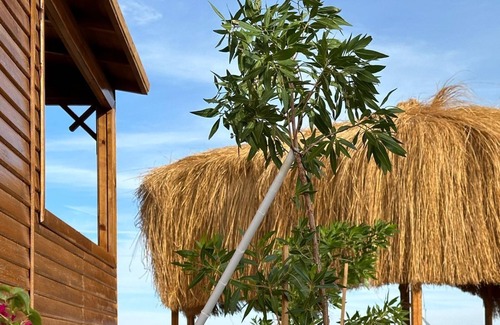 Nuweiba Hotel | Relax Beach Camp