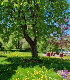 Kleinbettingen House | Relax, Cozy and Welcoming Room Near train station