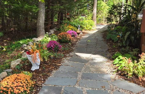 East Falmouth Apartment | Relax & Unwind this Fall, at a very private & relaxing 1 bedroom 1 bath studio