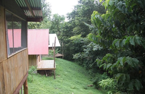 San Juanillo Apartment | Relaxed, Quiet and Peaceful Yogic Jungle Casita.