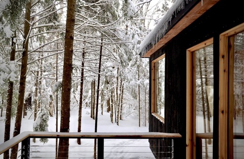 Park Falls Cabin | Relaxing Lakeside Cabin with Direct ATV & Snowmobile Trail Access!