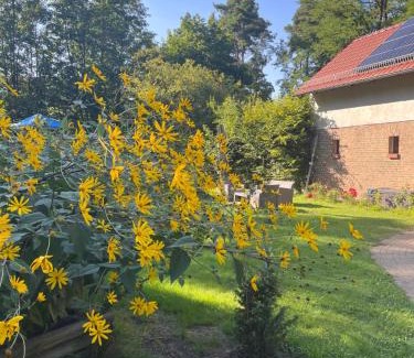 Dahlwitz House | Remise an der Rennbahn - umzäuntes Anwesen mit Parkplätzen, AmzonPrime, Netflix, Wii, PS2