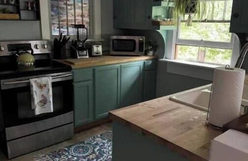 University Park House | Remodeled Historical Home 2 blocks from CSU campus and 3 blocks to Old Town