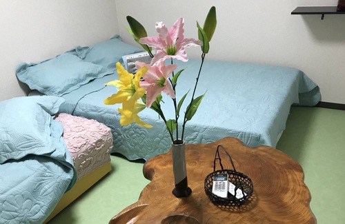 Otsu House | Remodeling a Japanese townhouse