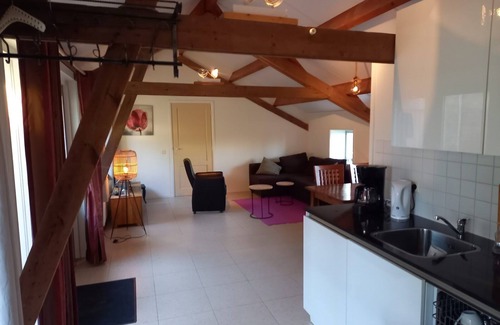 Grijpskerke House | Renovated 6-person holiday home in Grijpskerke, rurally and centrally located