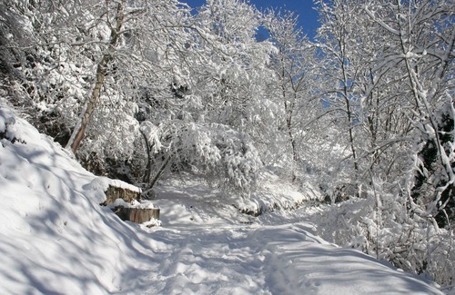 Saint-Lary-Soulan Apartment | Rent apartment with garage in Saint-Lary-Soulan