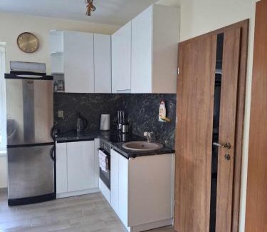 Kaunas Apartment | Rent Olamit