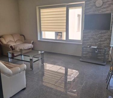 Kaunas Apartment | Rent Olamit