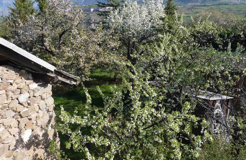 Risoul Apartment | Rental apartment type 3 in mountain house in Risoul - 05600
