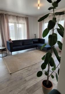 Dumbravita Villa | Rental house