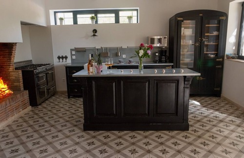 Vauvert House | RENTAL OF A MAS WITH POOL IN A VINEYARD IN FIELD CAMARGUE