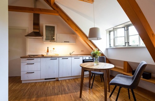 Oberloßnitz Apartment | Rental-Standard-Private Bathroom-Vineyard view-Nr. 3
