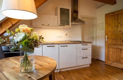 Oberloßnitz Apartment | Rental-Standard-Private Bathroom-Vineyard view-Nr. 3