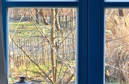 Laasow Apartment | Rental-Standard-Private Bathroom-Garden view-Klinkerhaus Altenteil
