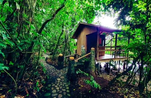 Catemaco Other | Reserva Ecologica Nanciyaga