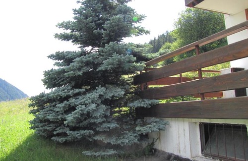 Campitello di Fassa Apartment | Residence Edelweiss